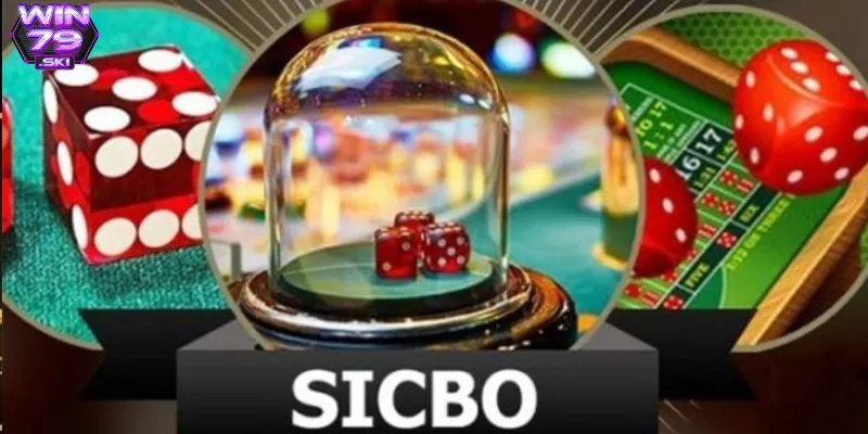 Quan sát kết quả và phân tích xu hướng để đặt