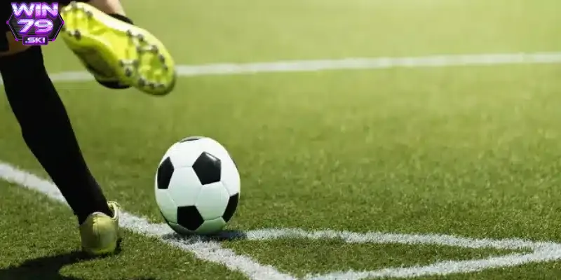 Cần tìm hiểu các loại kèo trước khi đặt